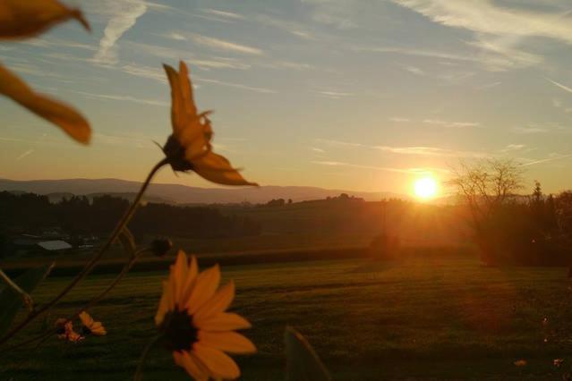 Ferienwohnung Im Bayerischen Wald Tittling エクステリア 写真
